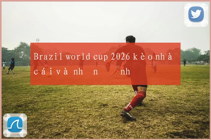 Brazil world cup 2026 kèo nhà cái và nhận định