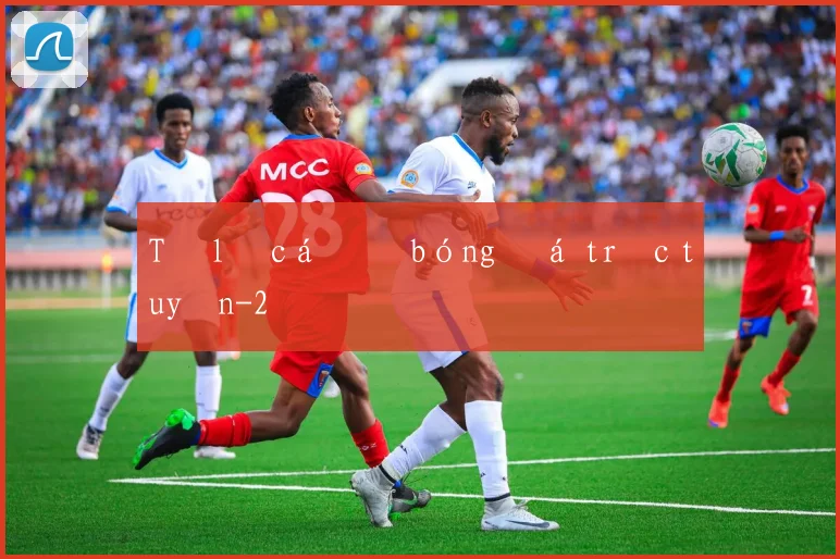 Tỷ lệ cá độ bóng đá trực tuyến