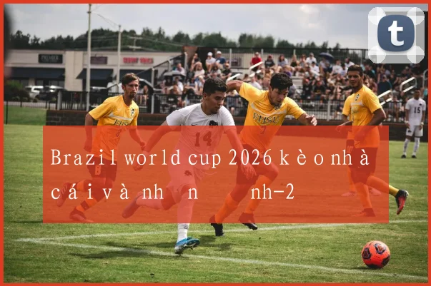 Brazil world cup 2026 kèo nhà cái và nhận định